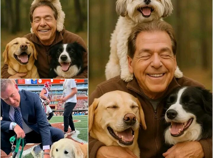 Nick Saban Ignites the Web with a Shocking Announcement: He Will Invest 20 Million Dollars to Build a ‘Paradise’ for Stray Dogs, Promising Love and a Home to Thousands of Abandoned Puppies…….