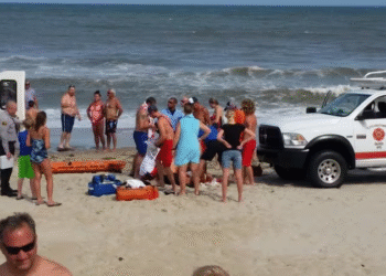 Tragic Shark Attack in Las Vegas, Nevada Claims Lives of Local Fisherman and Officials