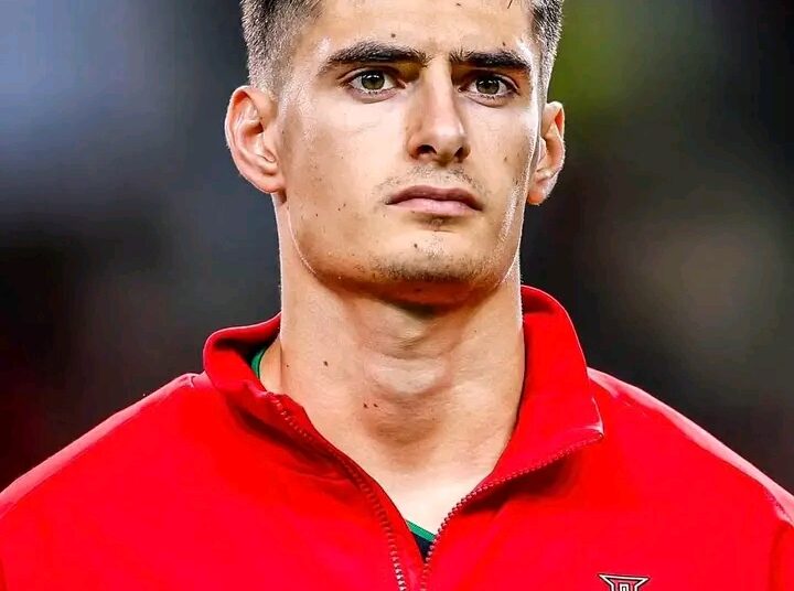 Rúben Neves a central é um desrespeito enorme para com o grande início de época de António Silva. O minutos contra a Arménia e hoje continua no banco para jogar um médio defensivo a central…..